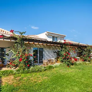  Ferienhaus Abacatus